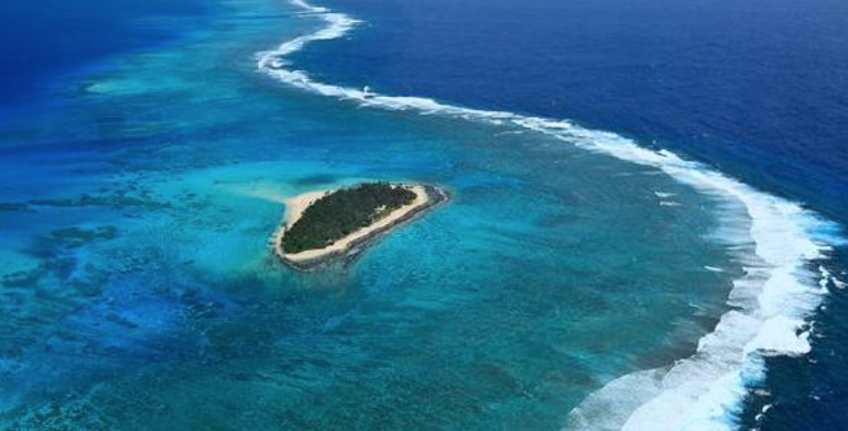 截屏2022-01-16 上午8 截屏2022-01-16 上午8