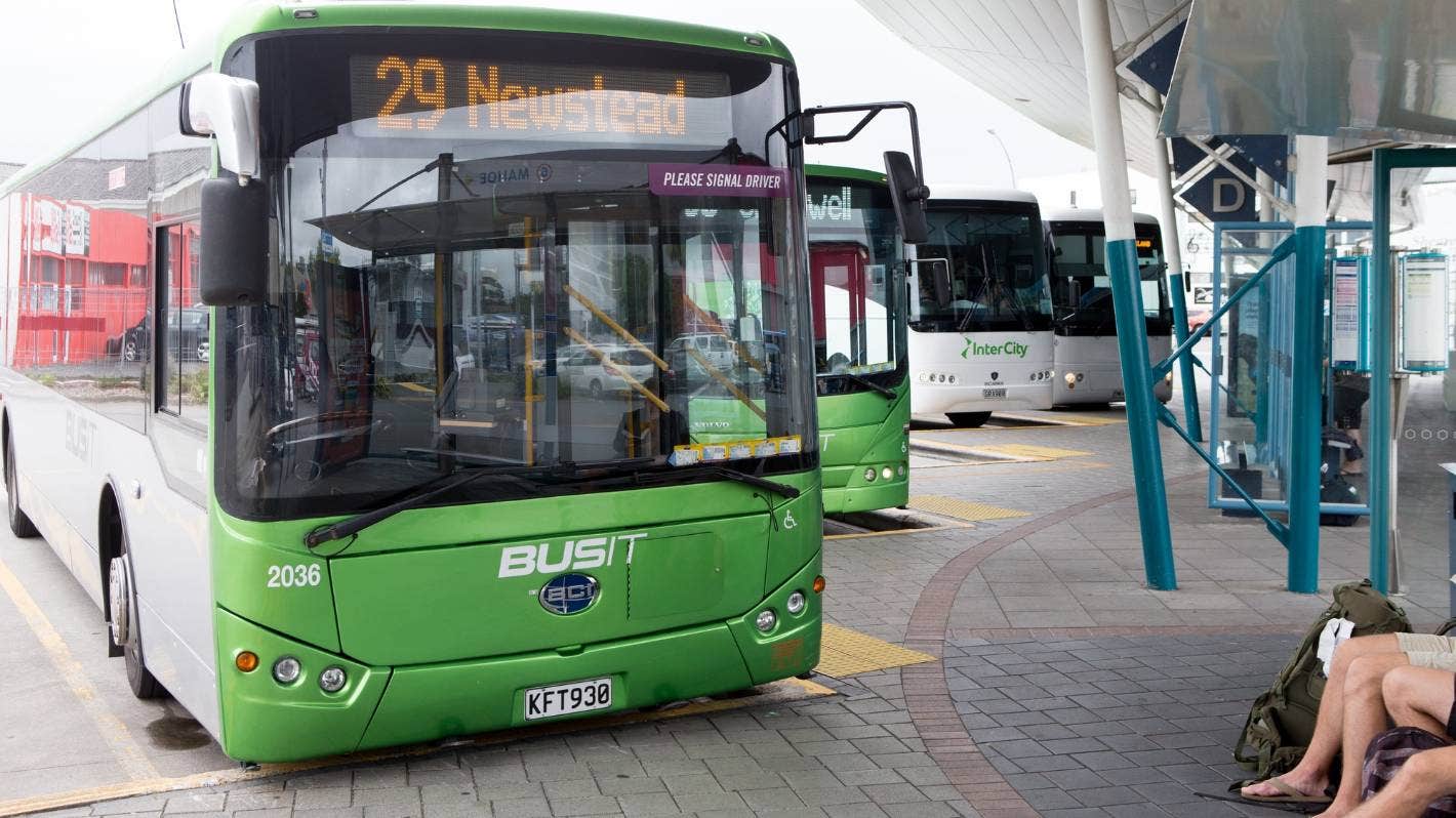 bus bus