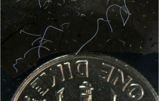 1656302516(1) 1656302516(1)
