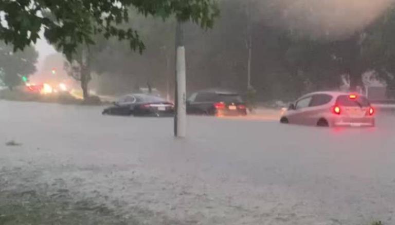 Cars-AUCKLAND-FLOODING-CREDIT-SUPPLIED