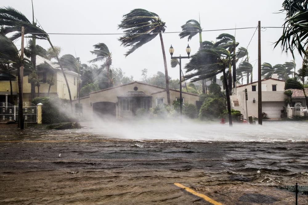 difference-hurricane-and-typhoon difference-hurricane-and-typhoon