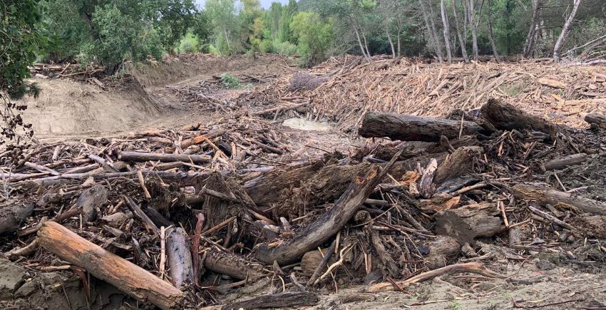 mntBLOCKSTORAGEhomemasternews_importersrcTairawhiti-forestry-1 mntBLOCKSTORAGEhomemasternews_importersrcTairawhiti-forestry-1