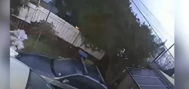 1687988203434 1687988203434