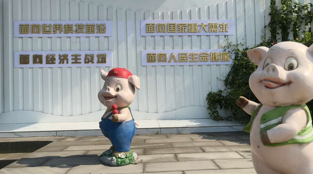 Image_20250528223310
