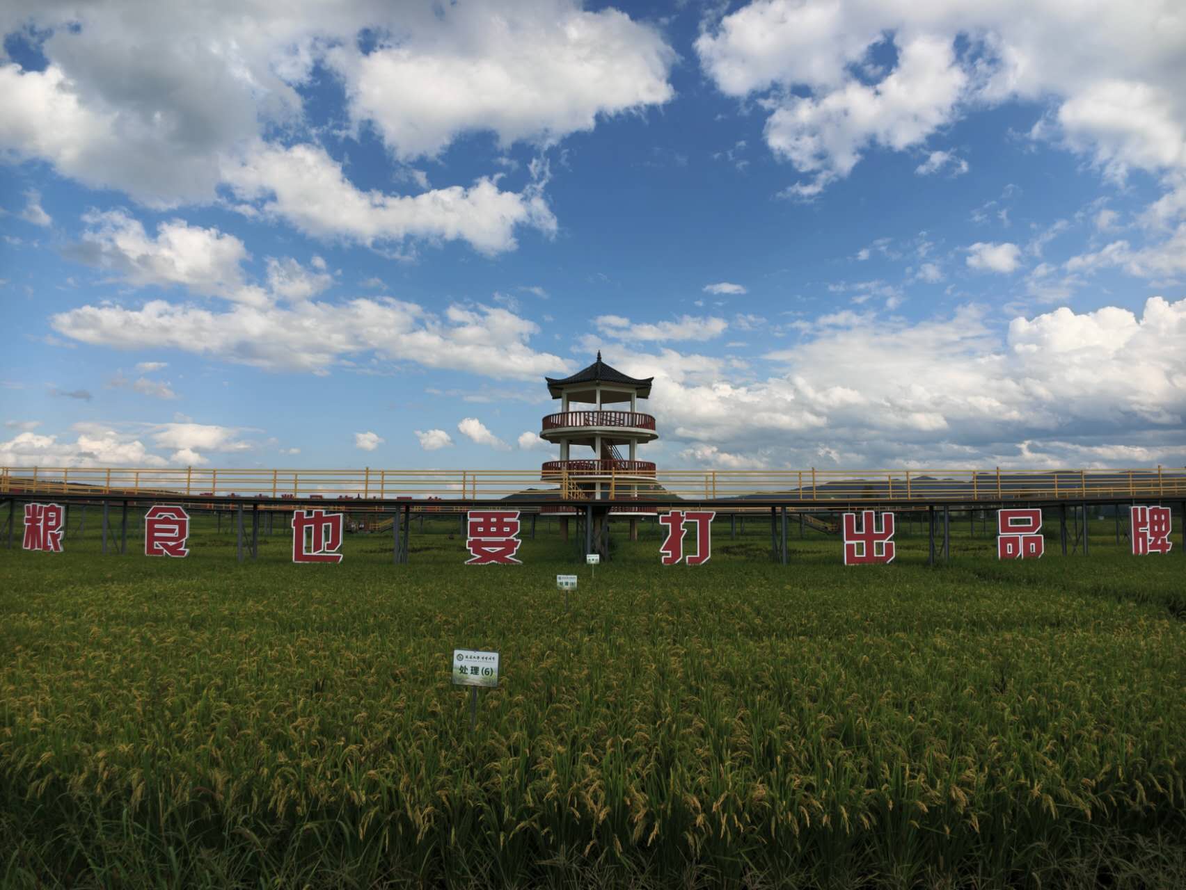 Image_20260828020405_144_2